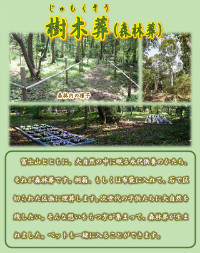 碧雲寺が提案する『森林葬（樹木葬）』